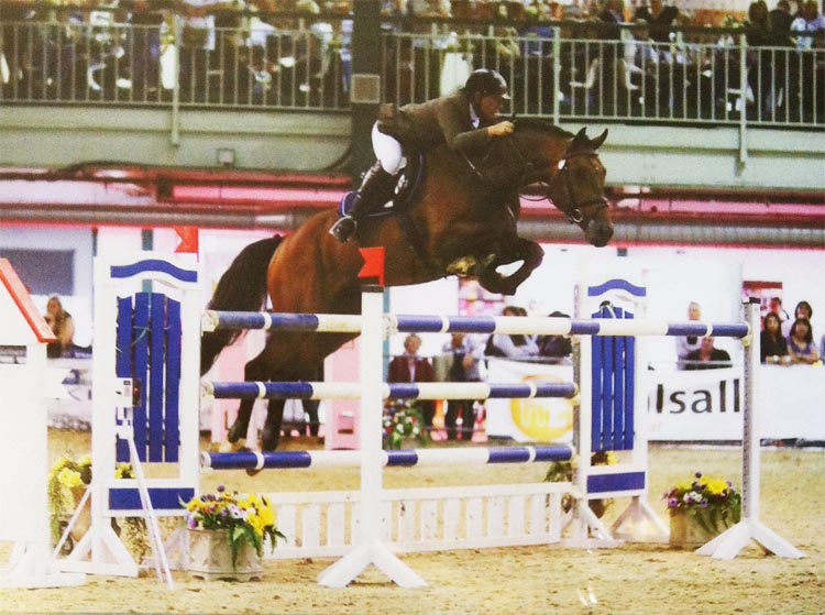 International Showjumper